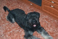 /album/nasi-pacienti/kopie-max-jpg/